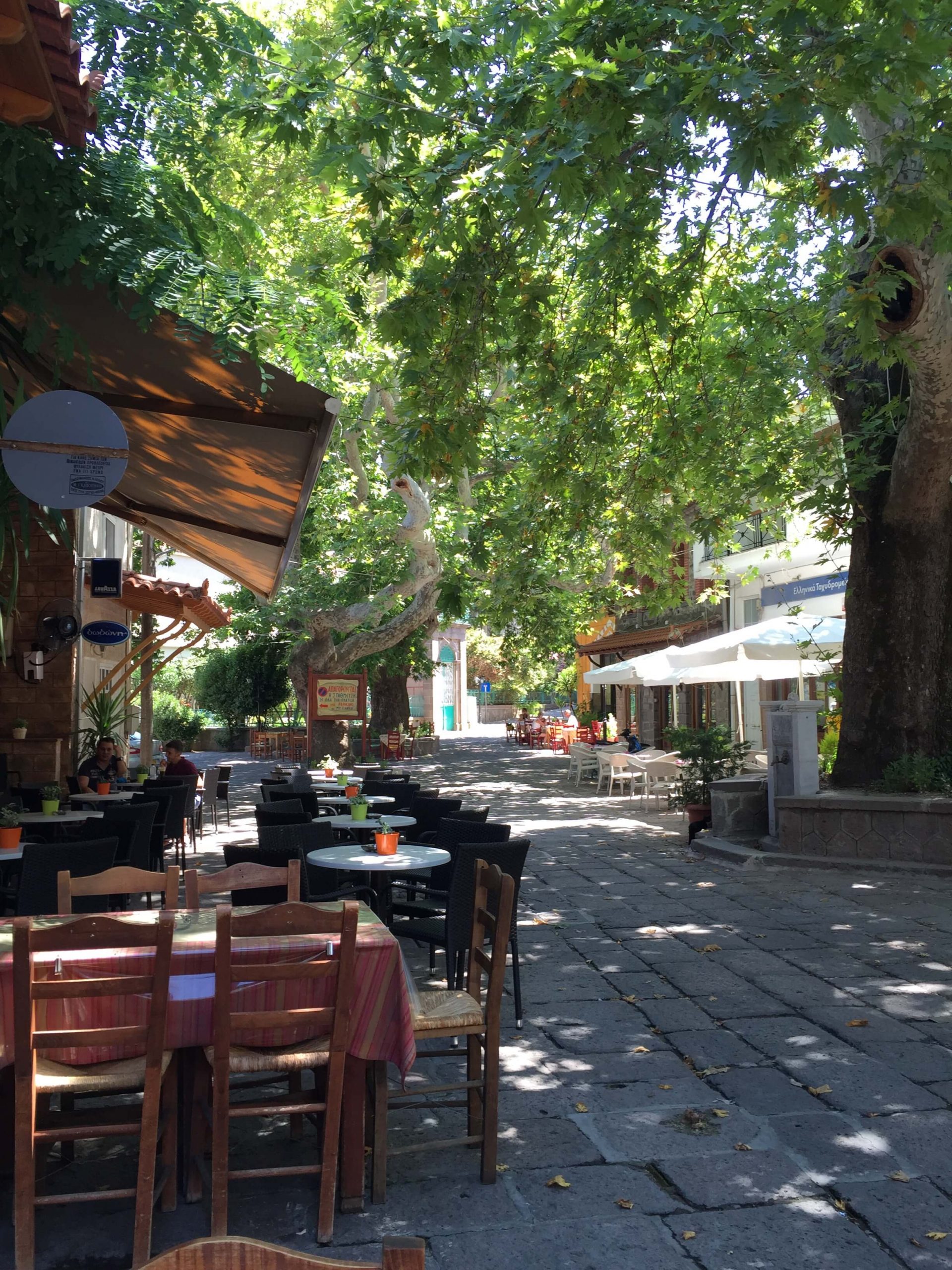 Macidenin-Hakan Yaman - galeri - Huş Ağaçlarının Sessizliği - Macidenin Nikosla Antissada oturduğu kahve